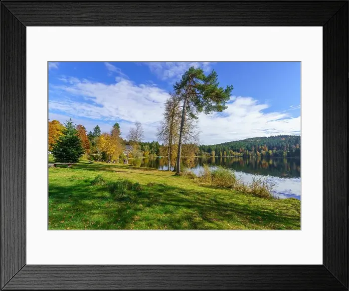 Framed Print : 2yw8dn0 Framed Print : 2yw8dn0