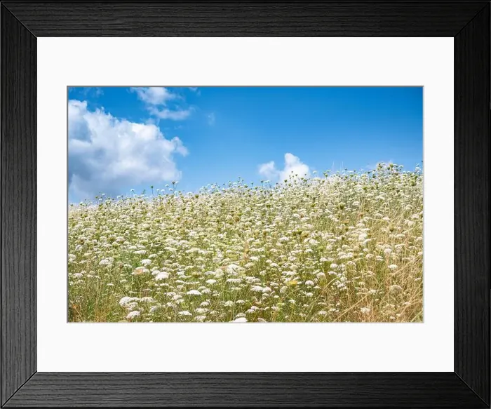 Framed Print : 2ywg2r5 Framed Print : 2ywg2r5