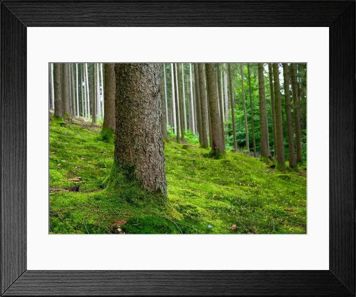 Framed Print : 2ywg5j6 Framed Print : 2ywg5j6