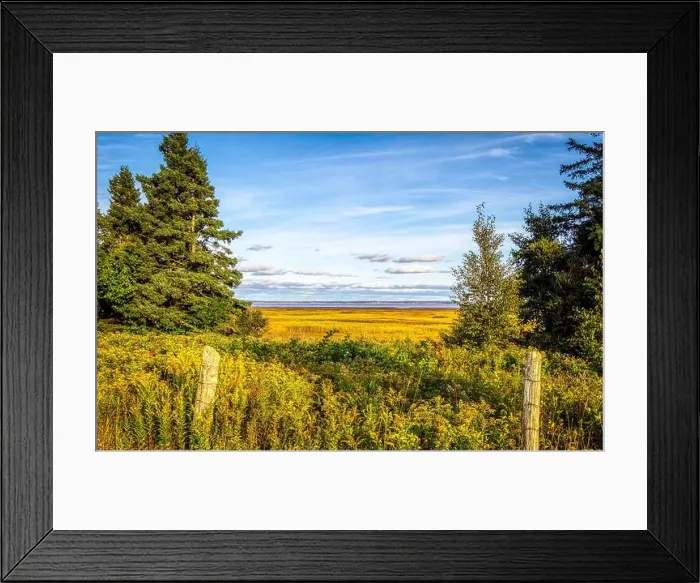 Framed Print : 2ywkgc0 Framed Print : 2ywkgc0