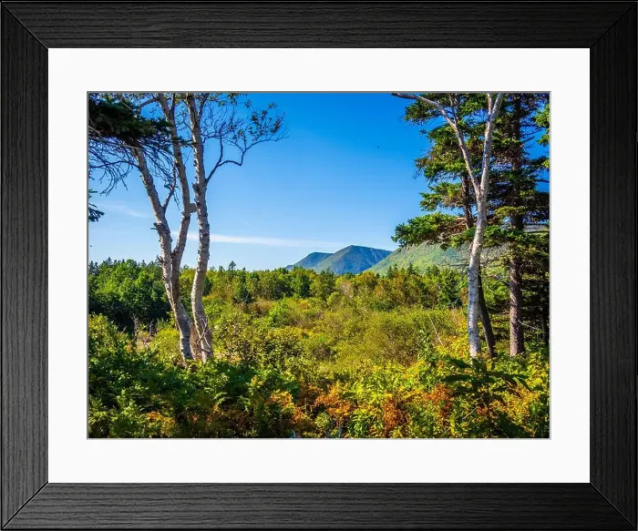 Framed Print : 2ywkgny Framed Print : 2ywkgny