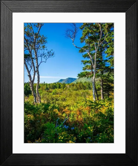 Framed Print : 2ywkgpa