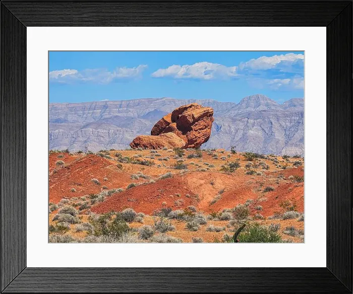 Framed Print : 2ywtgr6 Framed Print : 2ywtgr6
