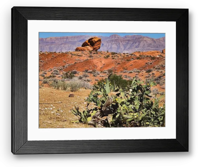 Framed Print : 2ywtgr8 Framed Print : 2ywtgr8