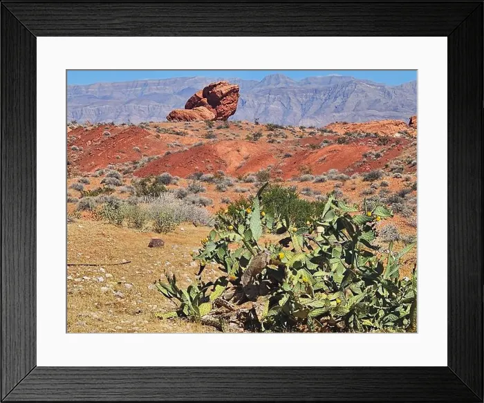 Framed Print : 2ywtgta Framed Print : 2ywtgta