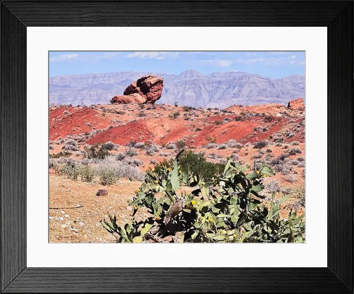 Framed Print : 2ywtgtj Framed Print : 2ywtgtj