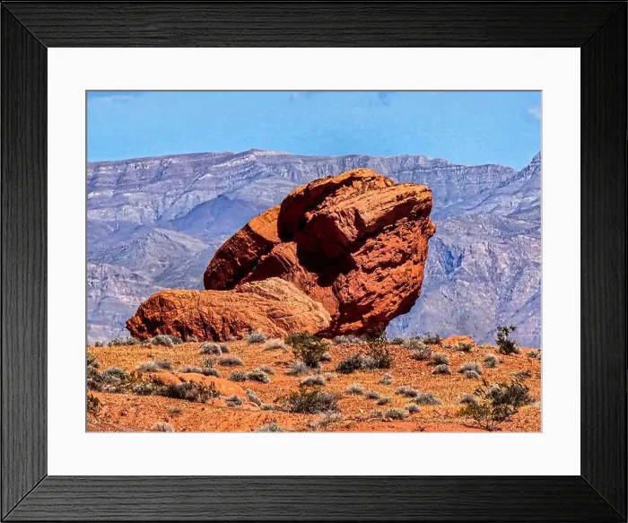 Framed Print : 2ywtgtp