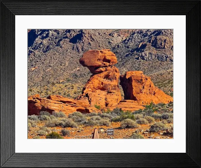 Framed Print : 2ywtgtx Framed Print : 2ywtgtx