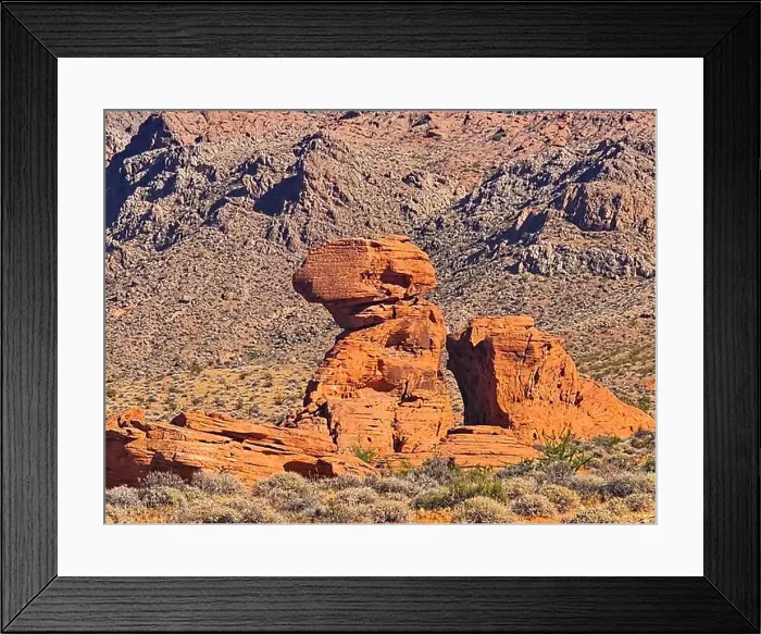 Framed Print : 2ywtgty Framed Print : 2ywtgty