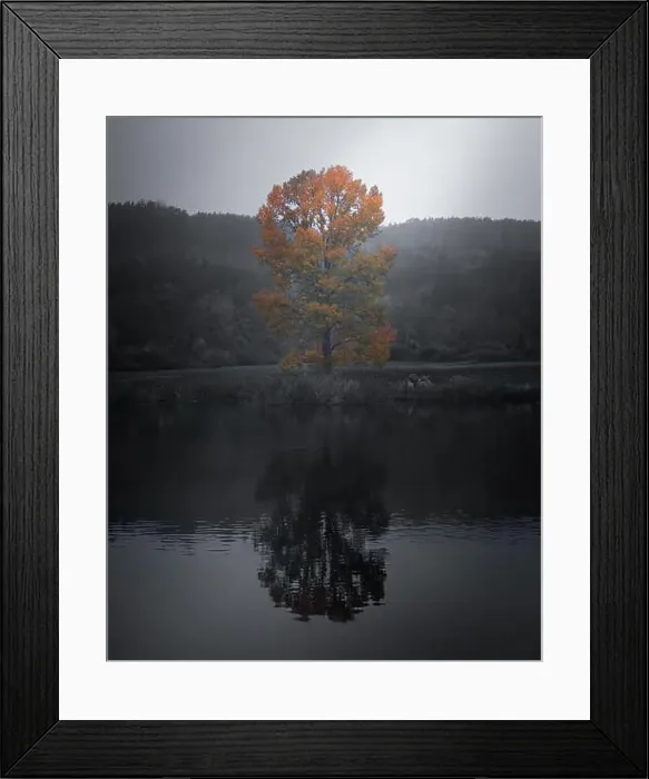 Framed Print : 2yx045y Framed Print : 2yx045y