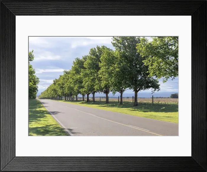 Framed Print : 2yx7k7e Framed Print : 2yx7k7e