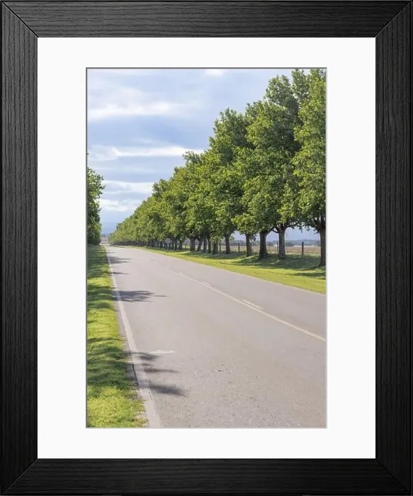 Framed Print : 2yx7kek Framed Print : 2yx7kek