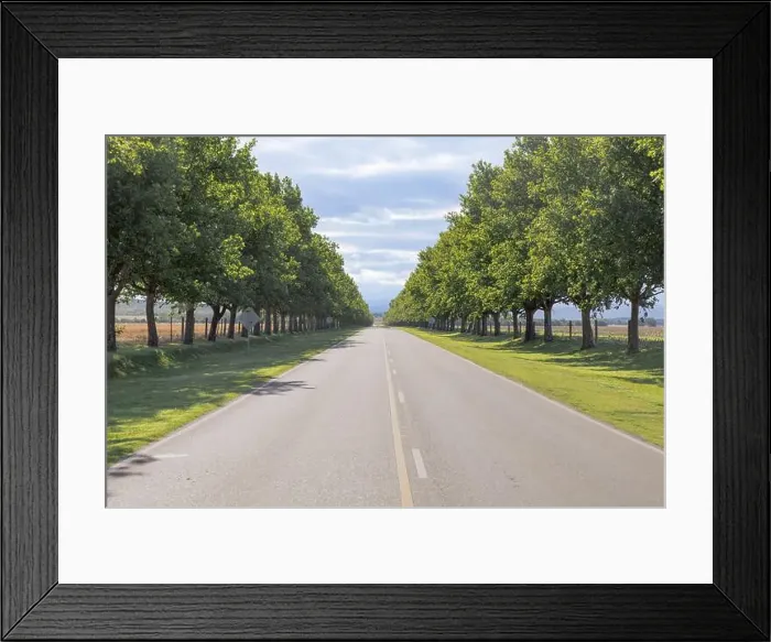 Framed Print : 2yx7kk5 Framed Print : 2yx7kk5