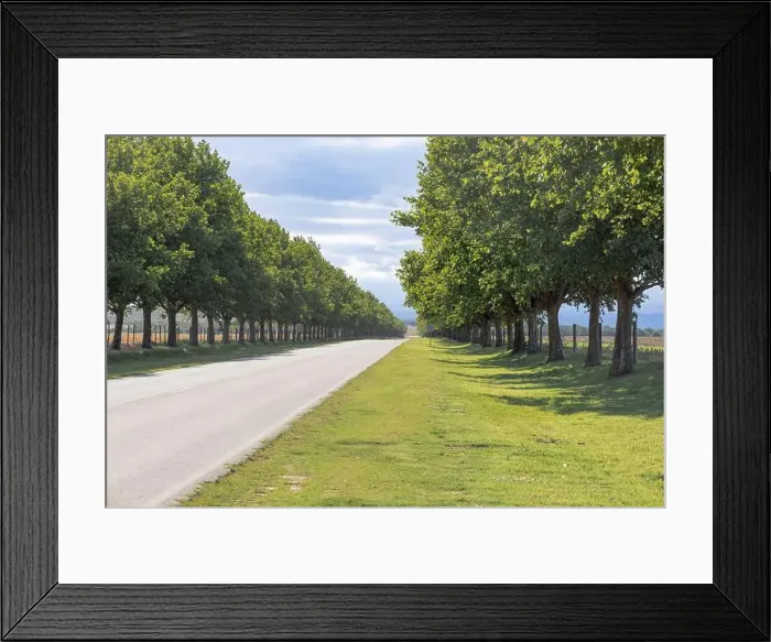 Framed Print : 2yx7ktr Framed Print : 2yx7ktr