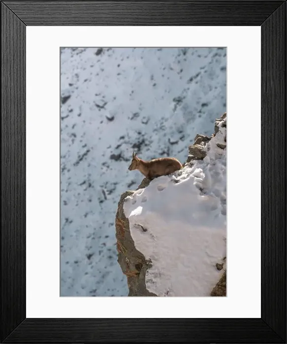 Framed Print : 2yxgkpr Framed Print : 2yxgkpr