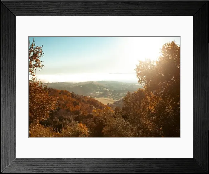 Framed Print : 2yxn4dc Framed Print : 2yxn4dc