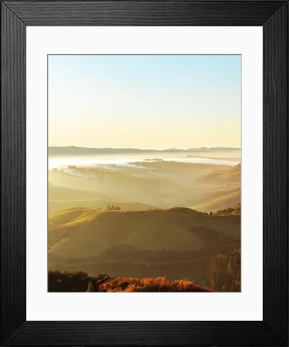 Framed Print : 2yxn4fy Framed Print : 2yxn4fy