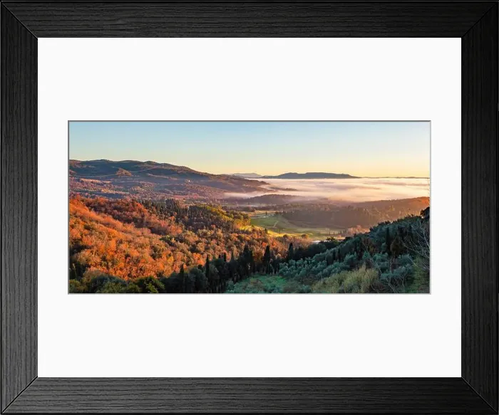 Framed Print : 2yxn4g0 Framed Print : 2yxn4g0