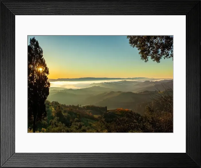 Framed Print : 2yxn4gk Framed Print : 2yxn4gk