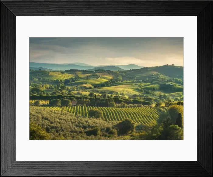 Framed Print : 2yxp8x8 Framed Print : 2yxp8x8