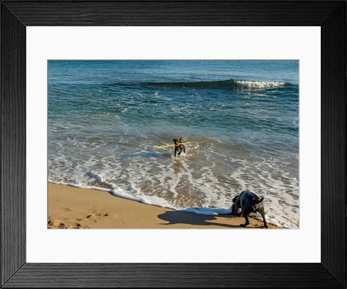 Framed Print : 2yxr9d1 Framed Print : 2yxr9d1