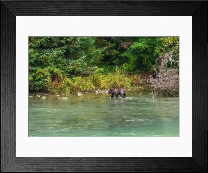 Framed Print : 2yxw2kw Framed Print : 2yxw2kw