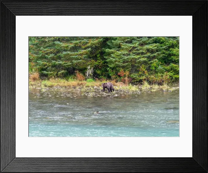 Framed Print : 2yxw2m5 Framed Print : 2yxw2m5