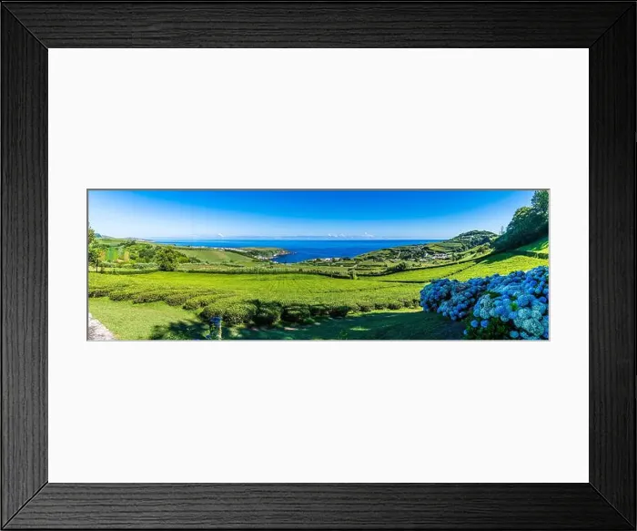 Framed Print : 2yy14kr Framed Print : 2yy14kr
