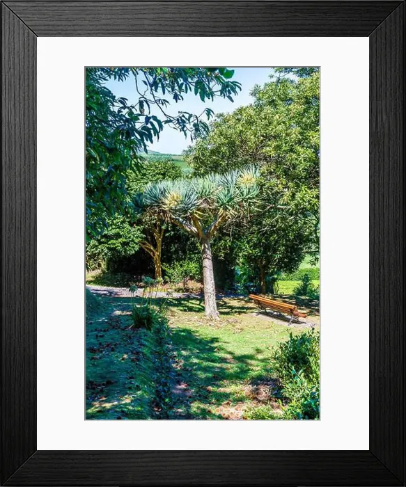 Framed Print : 2yy14m1 Framed Print : 2yy14m1