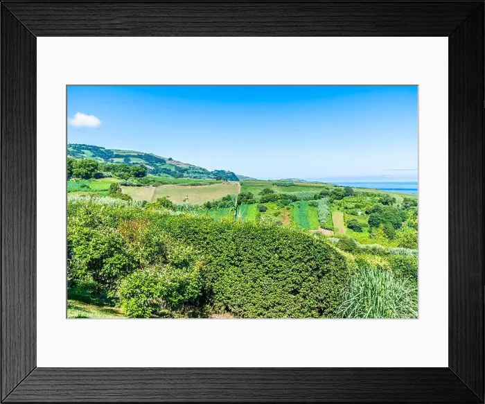 Framed Print : 2yy14m7 Framed Print : 2yy14m7