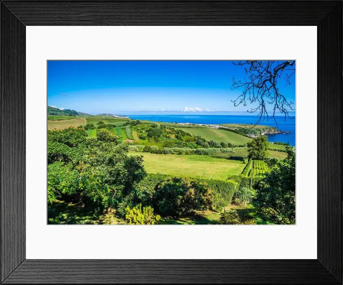 Framed Print : 2yy14mw Framed Print : 2yy14mw