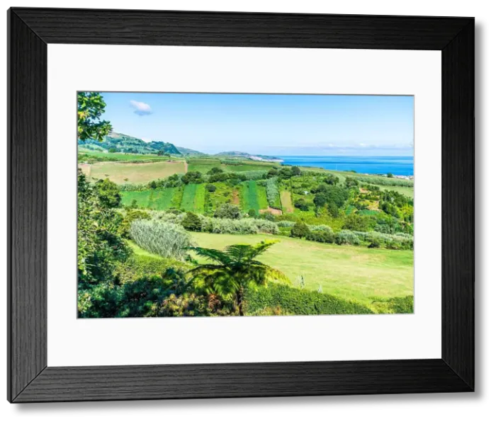 Framed Print : 2yy14n5 Framed Print : 2yy14n5