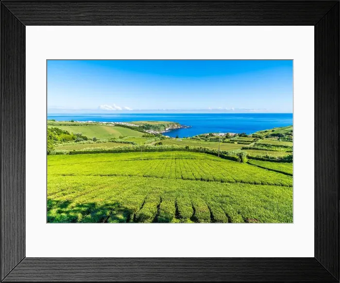 Framed Print : 2yy14p1
