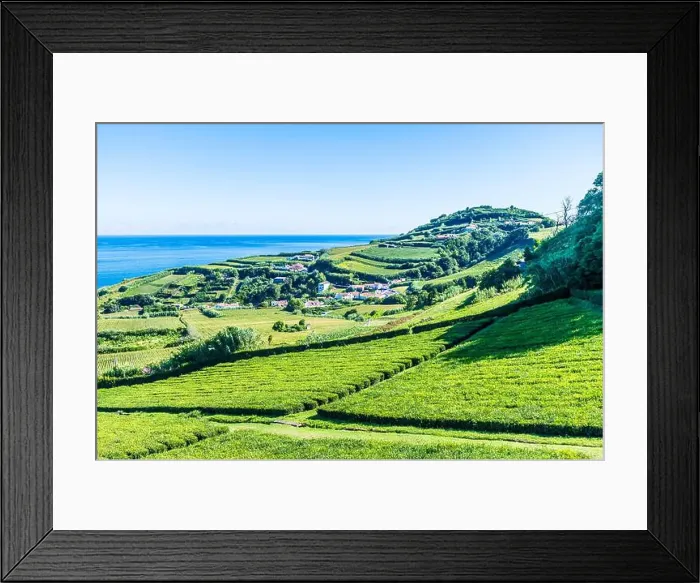 Framed Print : 2yy14r9 Framed Print : 2yy14r9