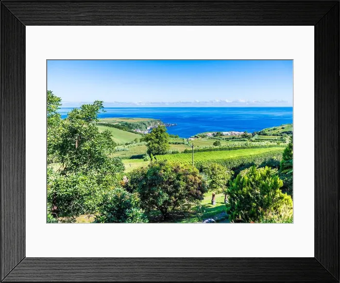 Framed Print : 2yy5td5 Framed Print : 2yy5td5