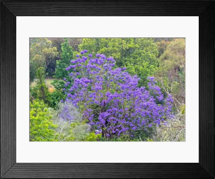 Framed Print : 2yy602e Framed Print : 2yy602e