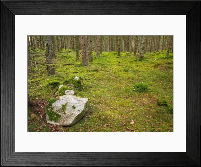 Framed Print : 2yy75hc Framed Print : 2yy75hc