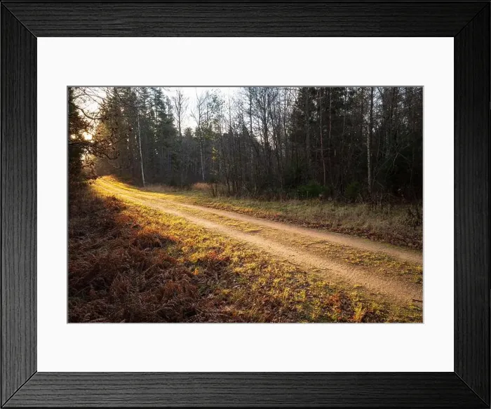 Framed Print : 2yy75hd Framed Print : 2yy75hd