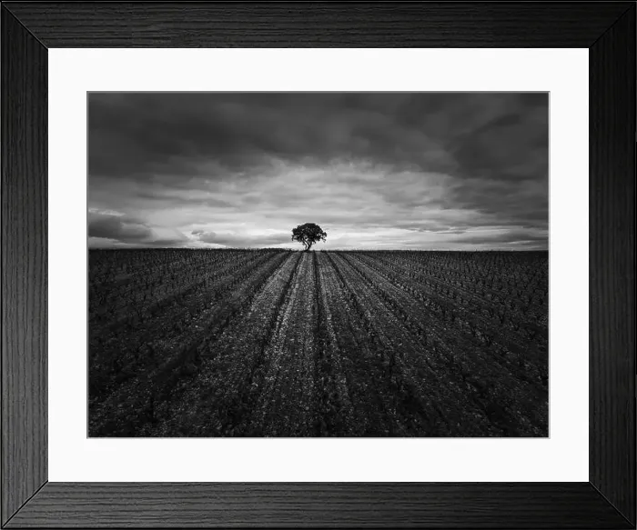 Framed Print : 2yy84nh Framed Print : 2yy84nh