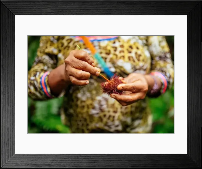 Framed Print : 2yy9rj0 Framed Print : 2yy9rj0