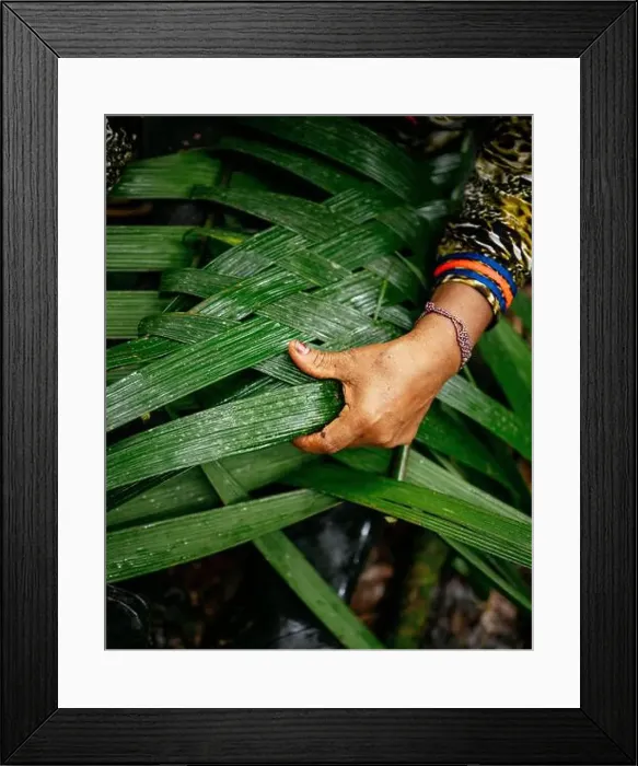 Framed Print : 2yy9rm7 Framed Print : 2yy9rm7