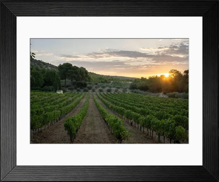 Framed Print : 2yyc2ek Framed Print : 2yyc2ek