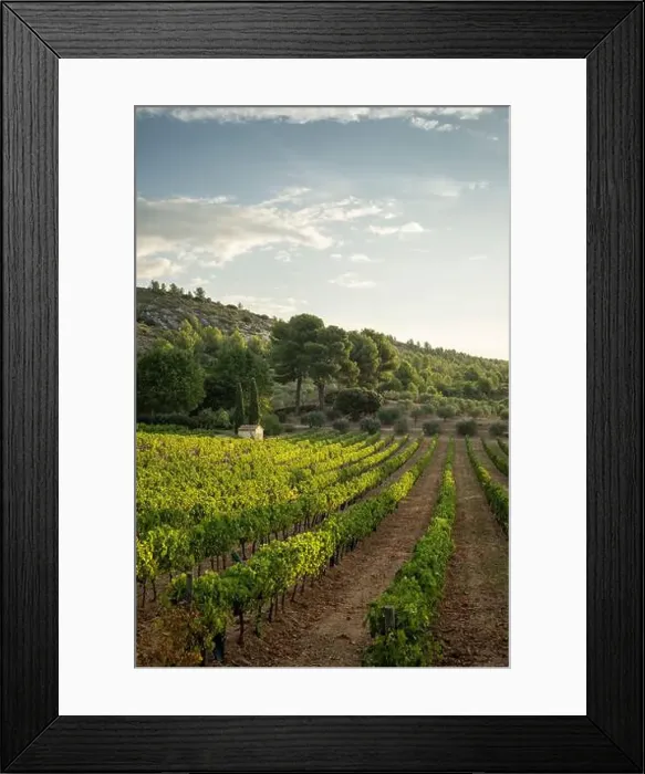 Framed Print : 2yyc2fd Framed Print : 2yyc2fd