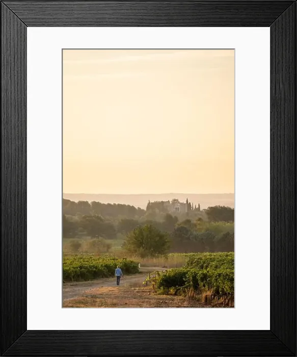 Framed Print : 2yyc2g1 Framed Print : 2yyc2g1