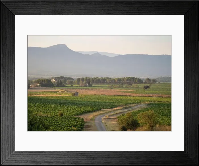 Framed Print : 2yyc2g5 Framed Print : 2yyc2g5