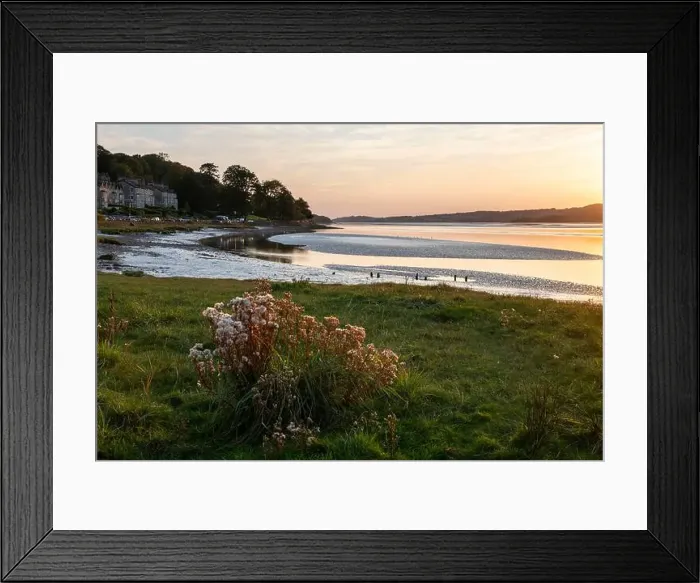 Framed Print : 2yyct50 Framed Print : 2yyct50
