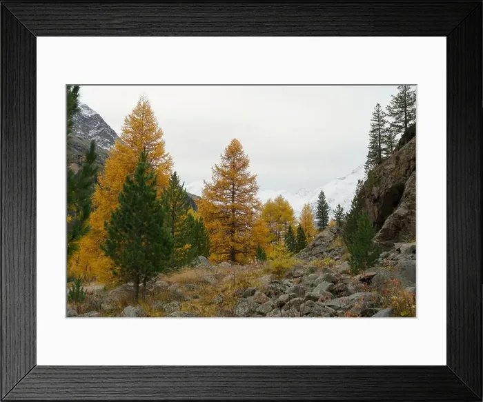 Framed Print : 2yycwtx Framed Print : 2yycwtx