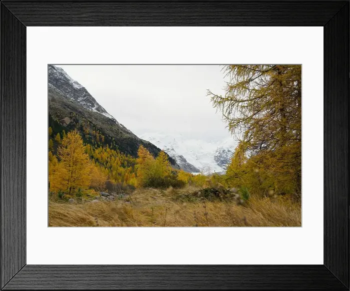 Framed Print : 2yycww6 Framed Print : 2yycww6