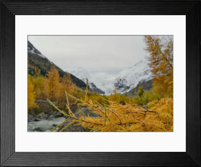 Framed Print : 2yycx65 Framed Print : 2yycx65