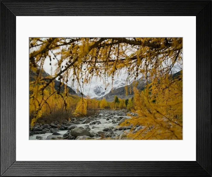 Framed Print : 2yycx83 Framed Print : 2yycx83